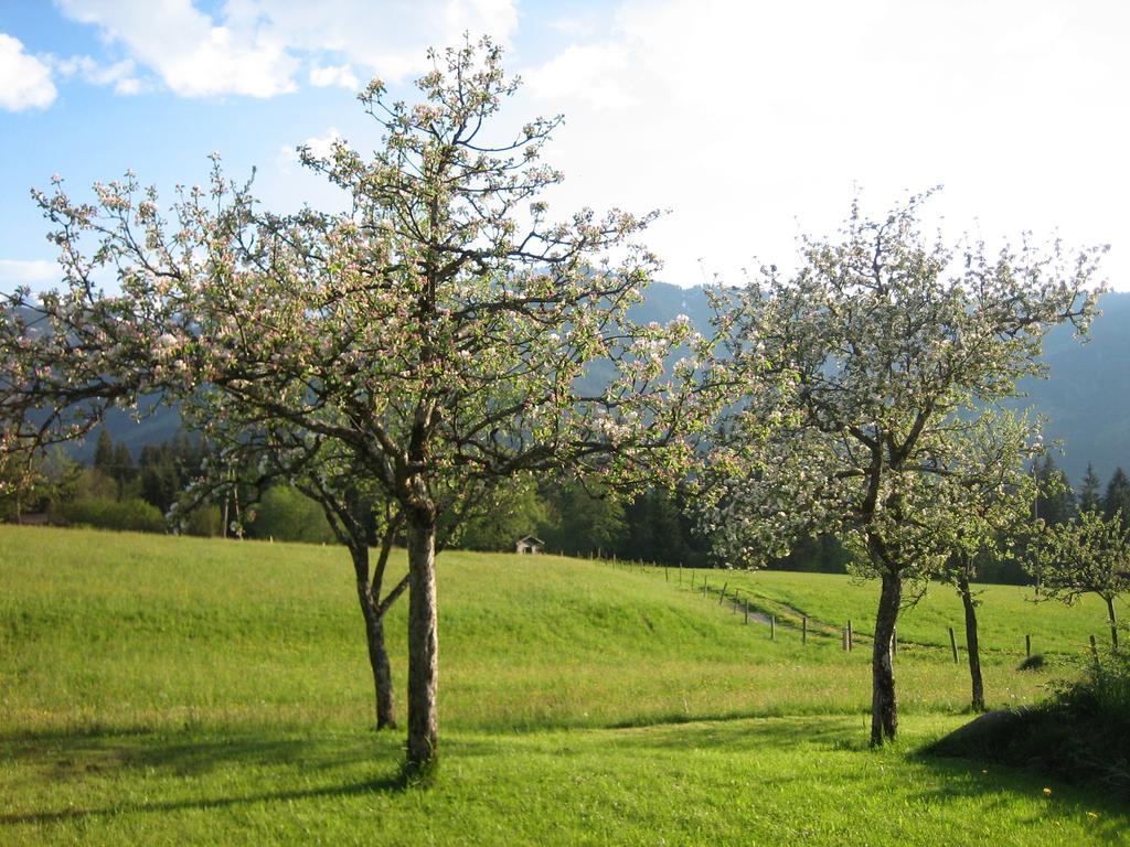 Pension Laerchenbrunn Westendorf Quarto foto